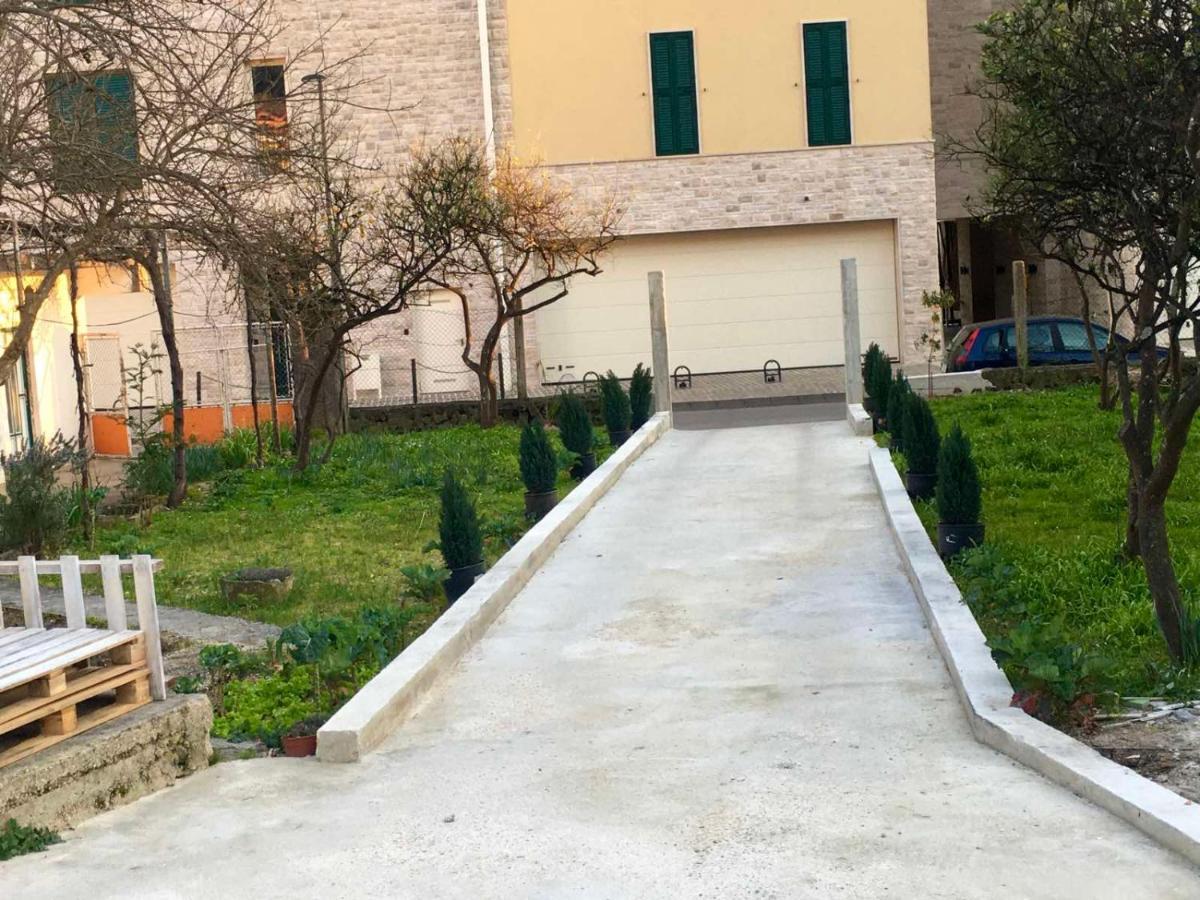 Banicevic Apartmani Ðenovići Dış mekan fotoğraf