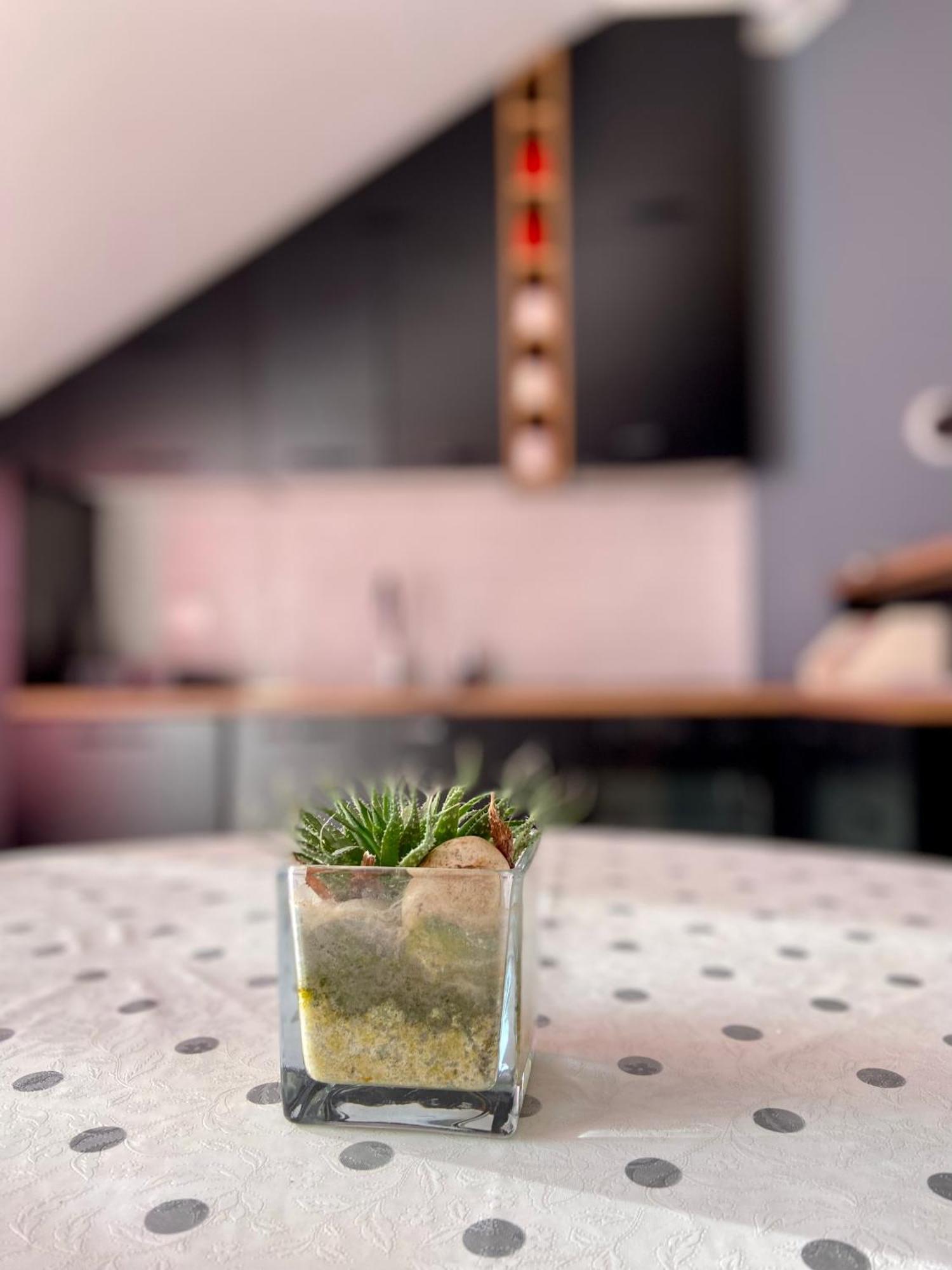 Banicevic Apartmani Ðenovići Dış mekan fotoğraf